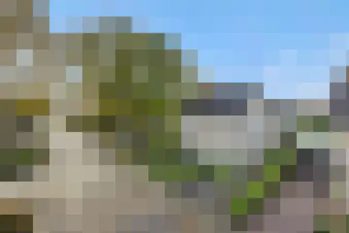 Veldstraat 17 Geffen thumbnail 46