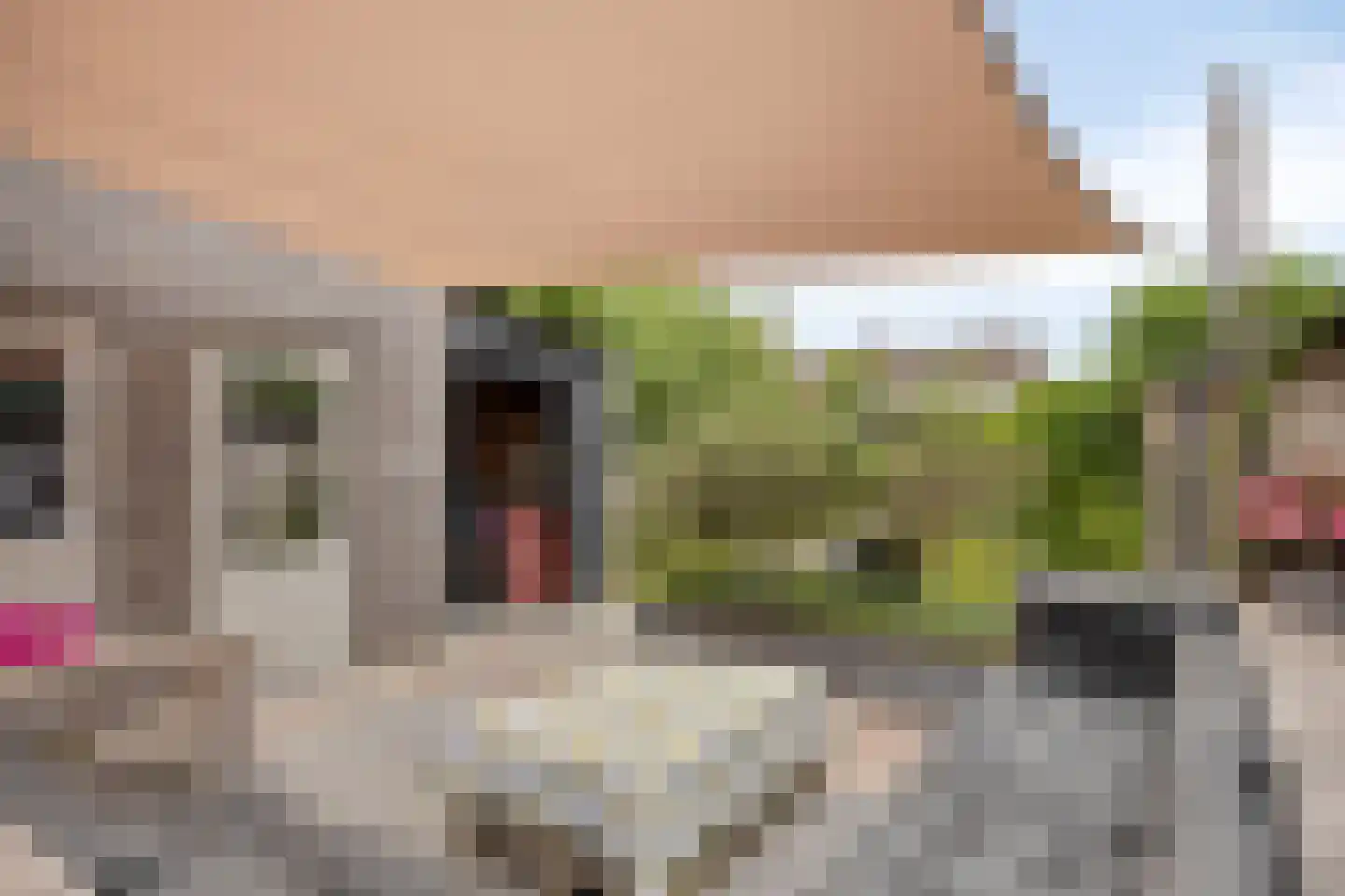 Veldstraat 17 Nuland thumbnail 17