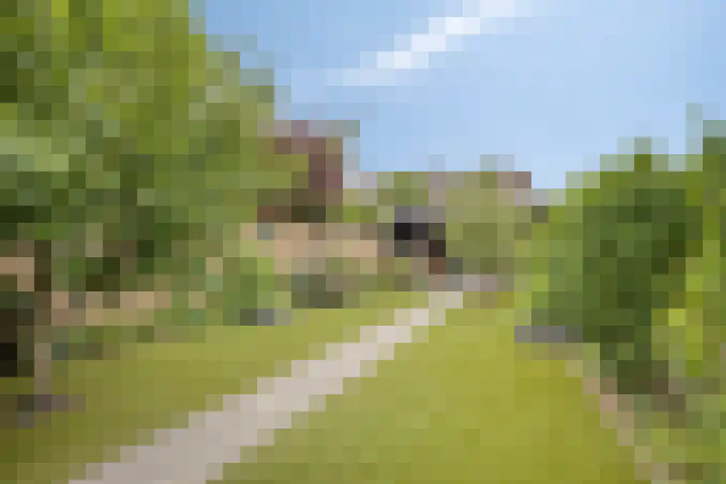 Veldstraat 17 Nuland thumbnail 18