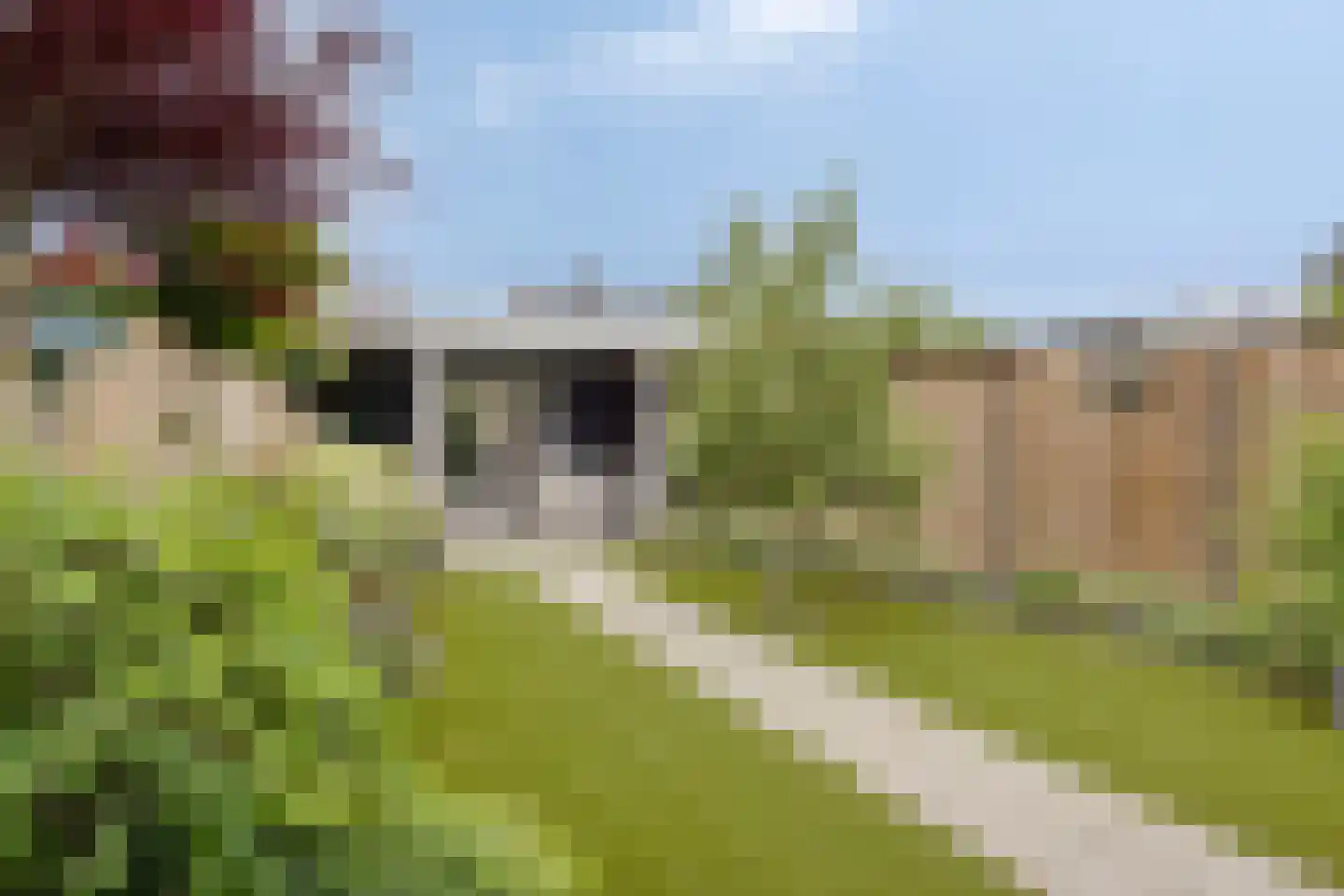 Veldstraat 17 Nuland thumbnail 19