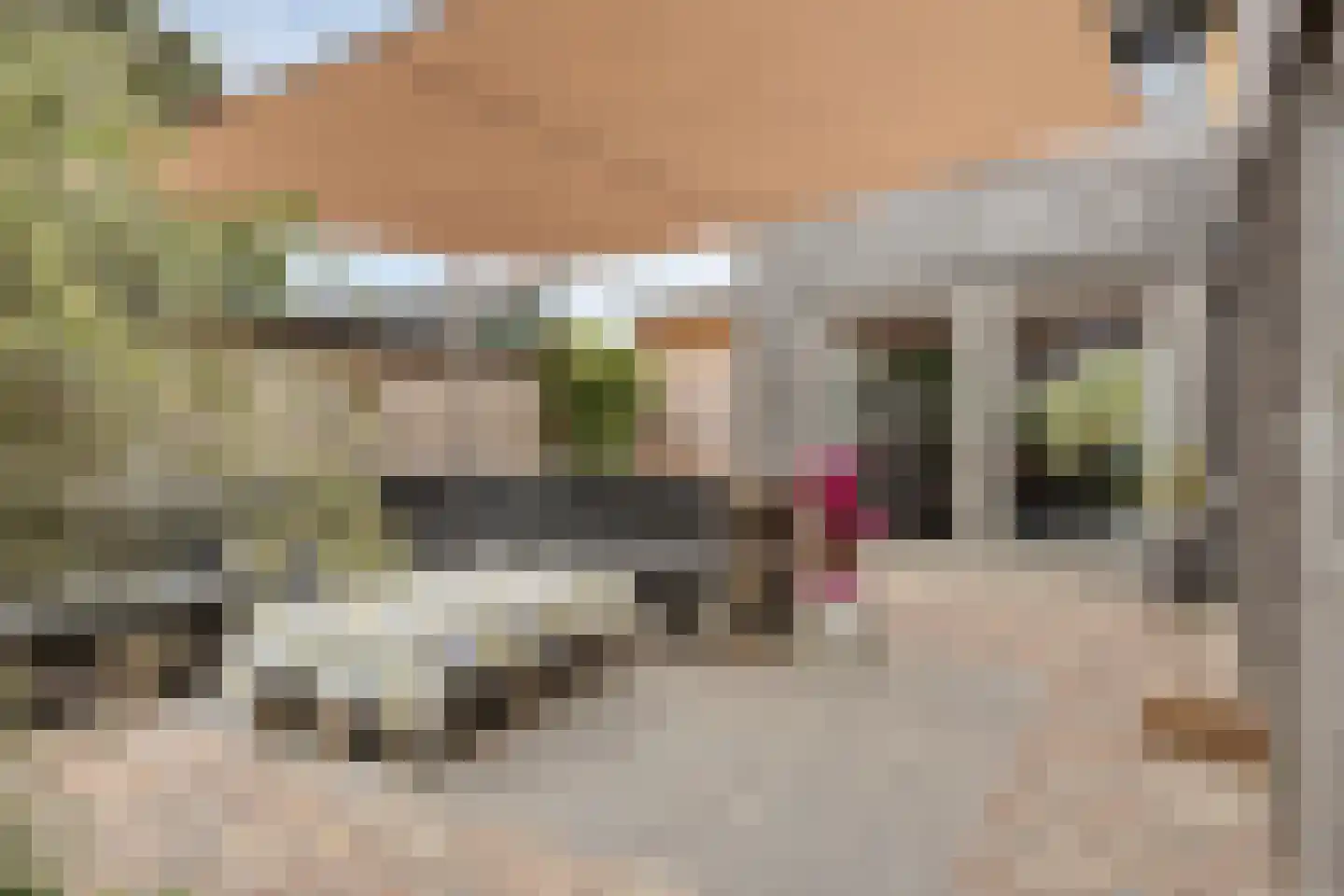 Veldstraat 17 Nuland thumbnail 23