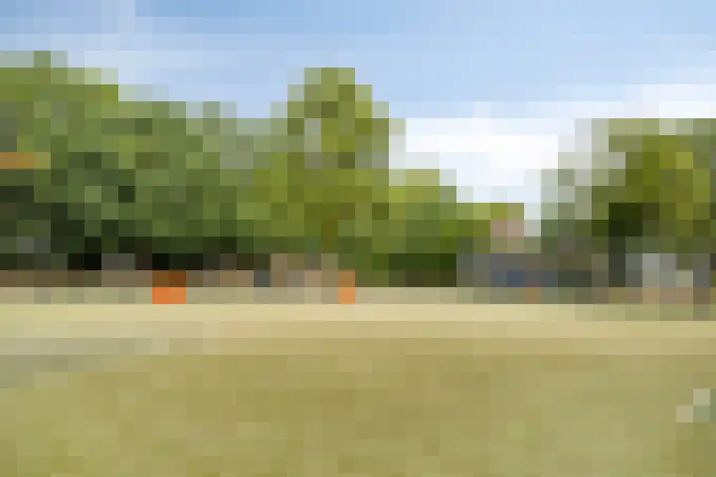 Veldstraat 17 Nuland thumbnail 36