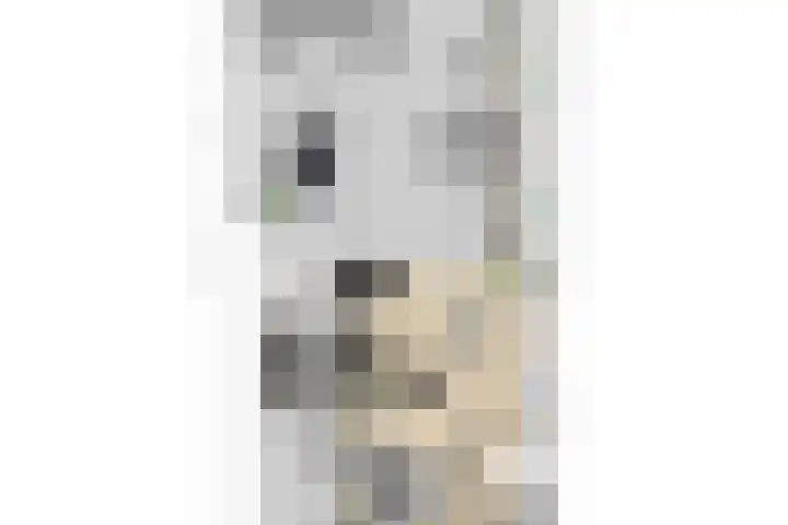Veldstraat 17 Udenhout thumbnail 51
