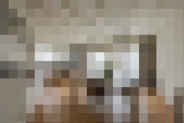 Veldstraat 17 Udenhout thumbnail 8