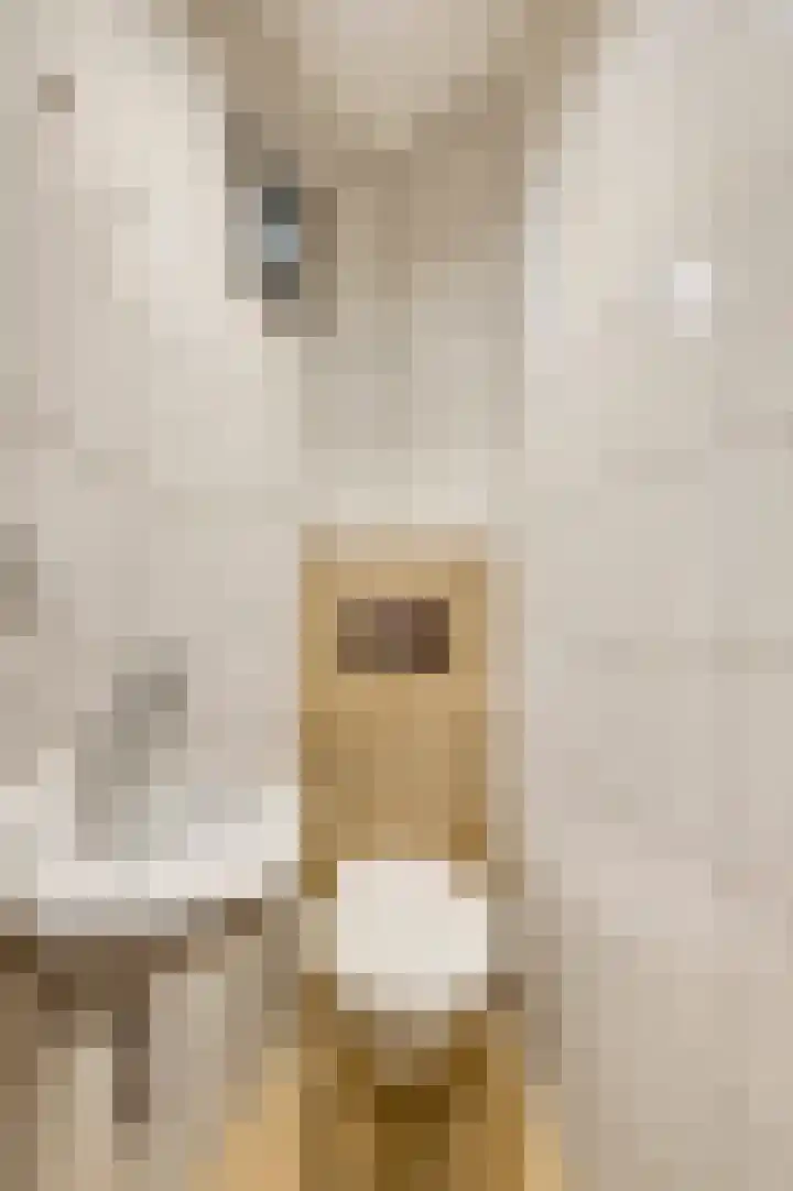 Veldstraat 18 Stramproy thumbnail 22