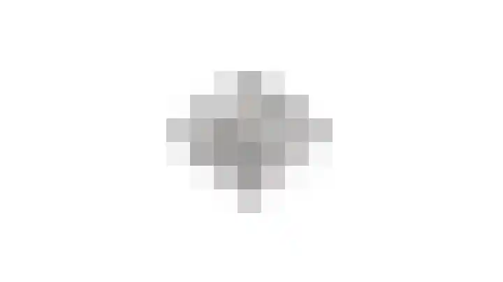 Veldstraat 18 Stramproy thumbnail 42