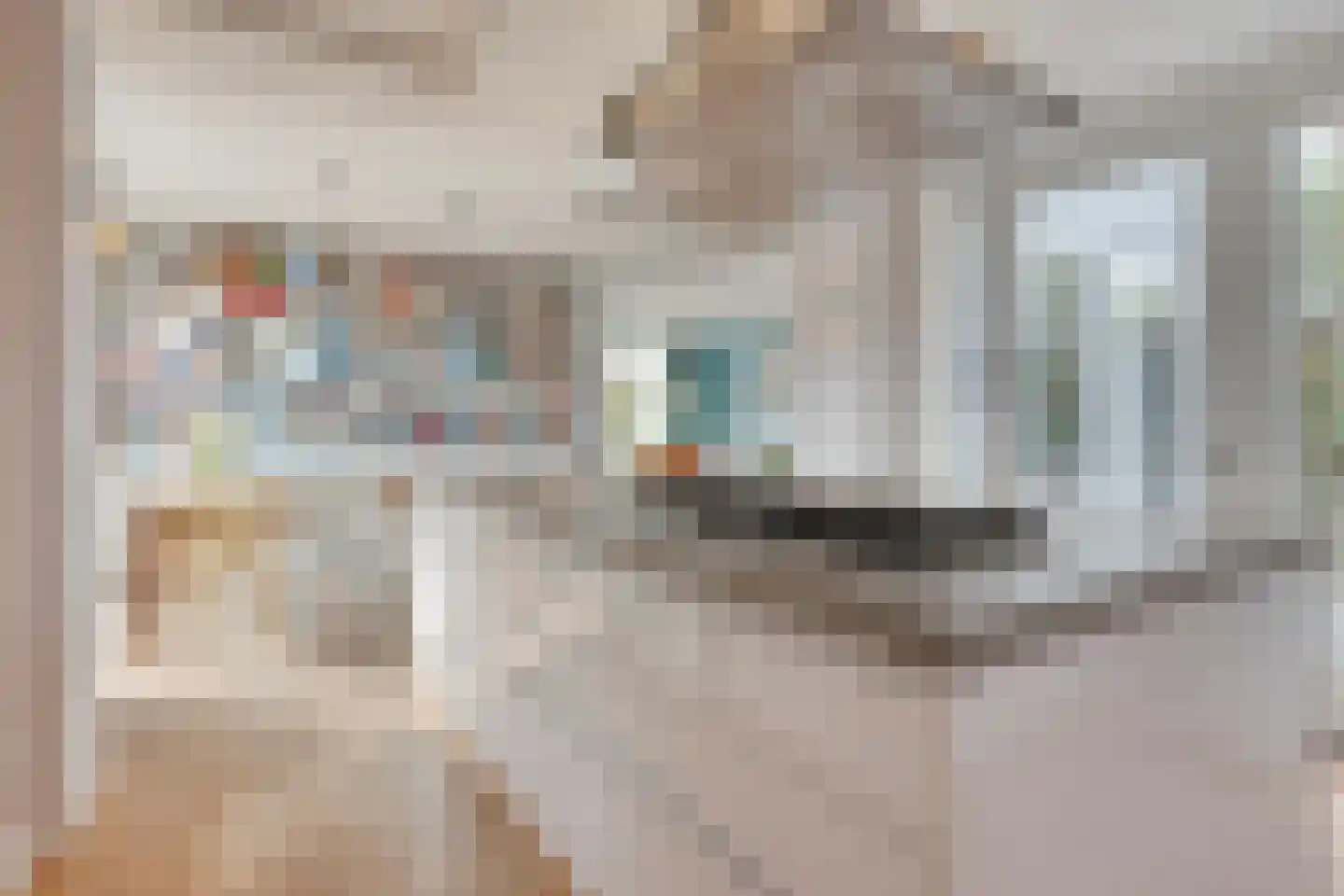 Veldstraat 2 Heeswijk-Dinther thumbnail 16