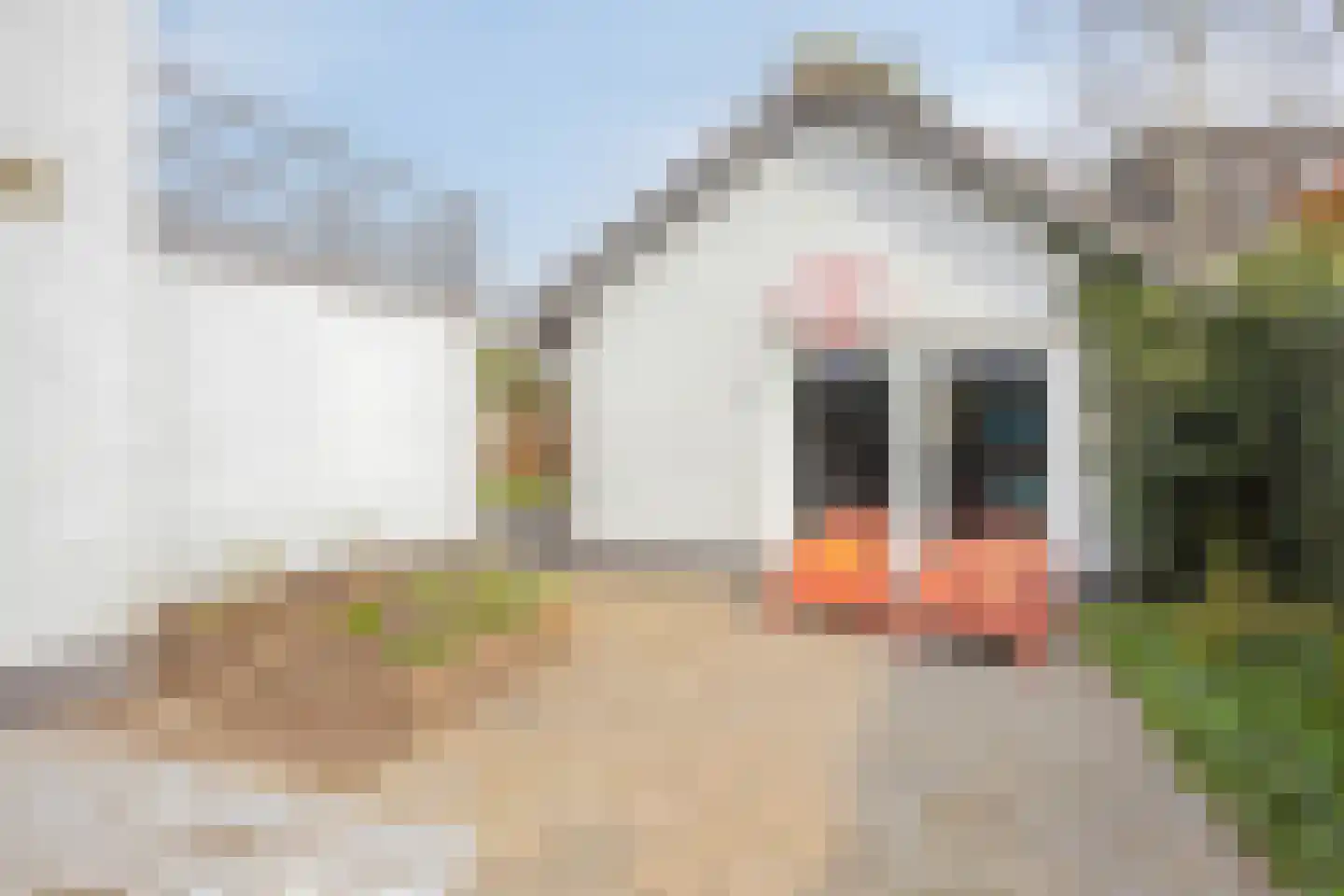 Veldstraat 2 Heeswijk-Dinther thumbnail 38