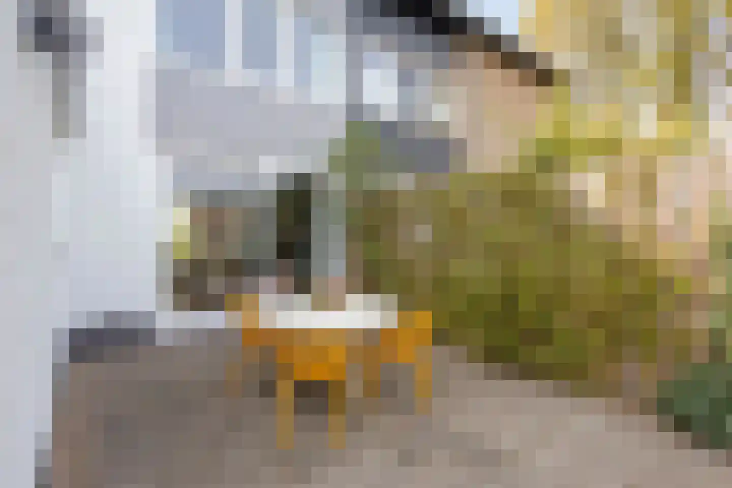 Veldstraat 2 Heeswijk-Dinther thumbnail 42