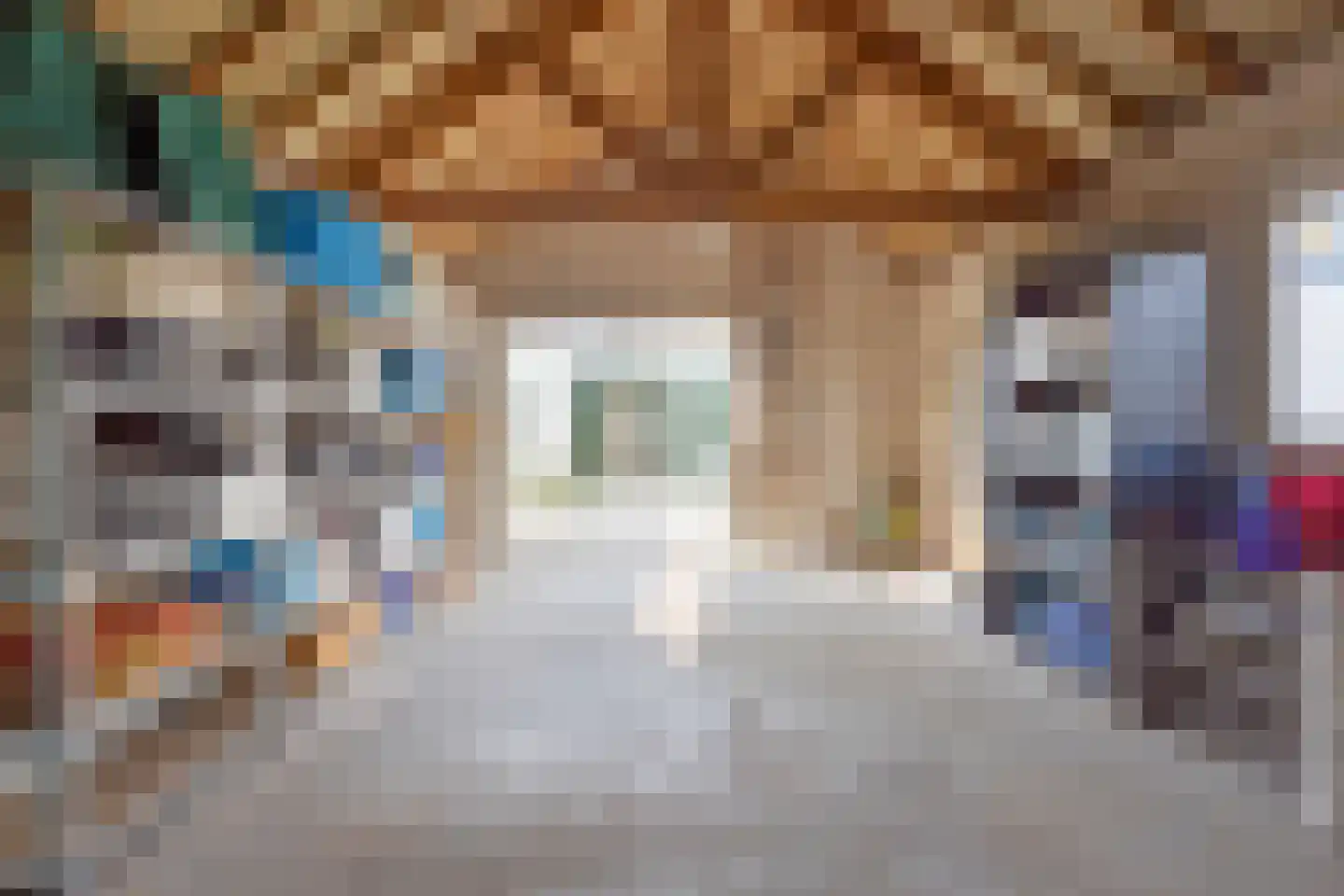 Veldstraat 2 Heeswijk-Dinther thumbnail 48