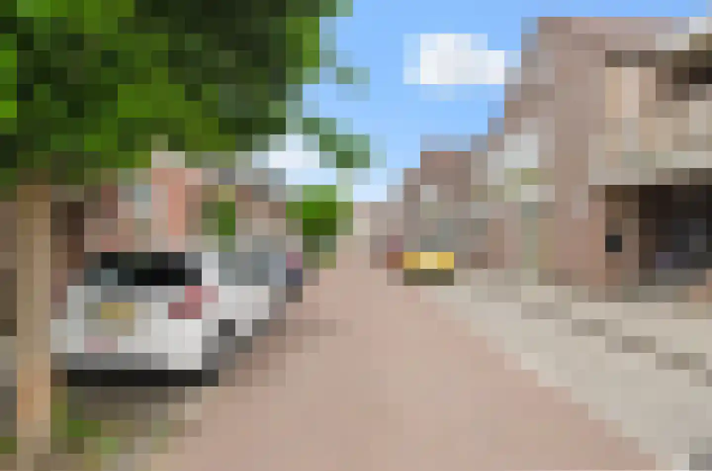Veldstraat 2 Utrecht thumbnail 26