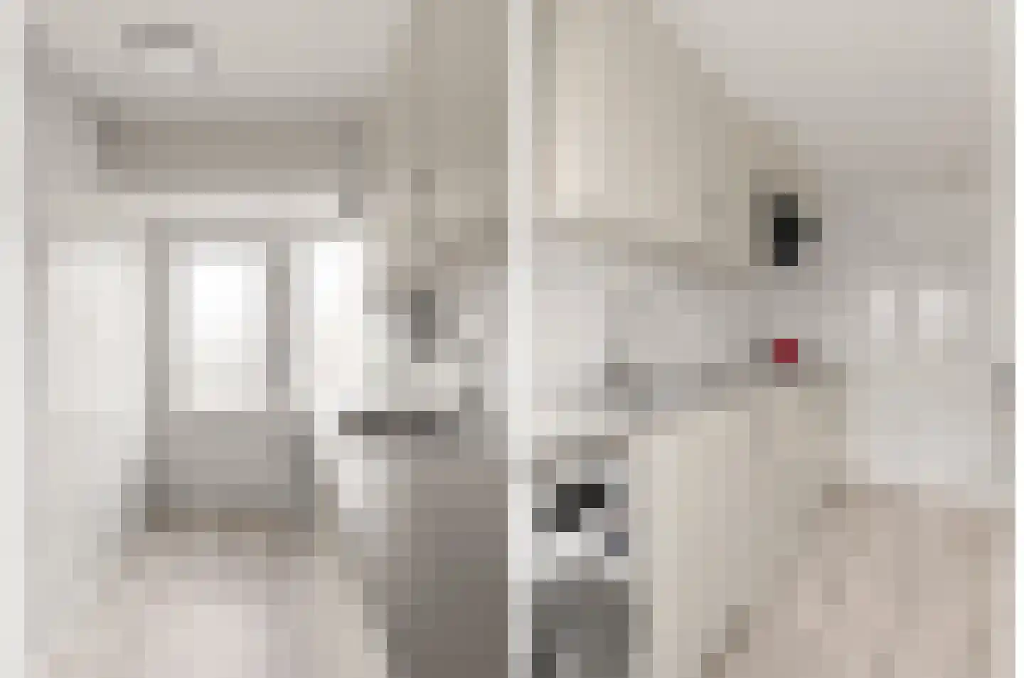 Veldstraat 2 Utrecht thumbnail 9