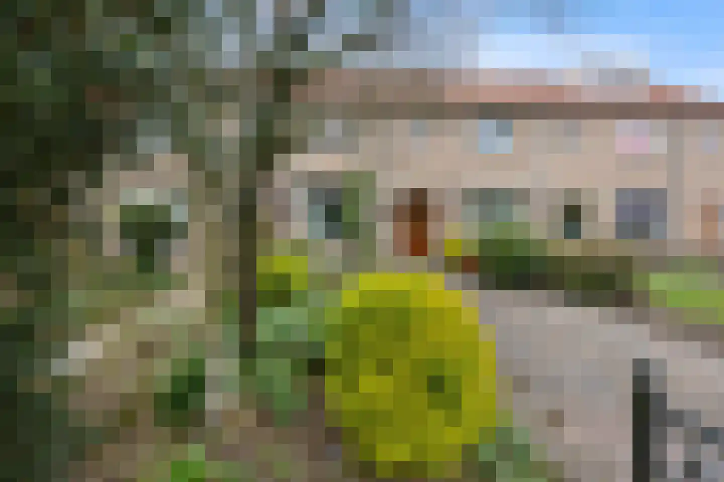 Veldstraat 20 Nijmegen thumbnail 51