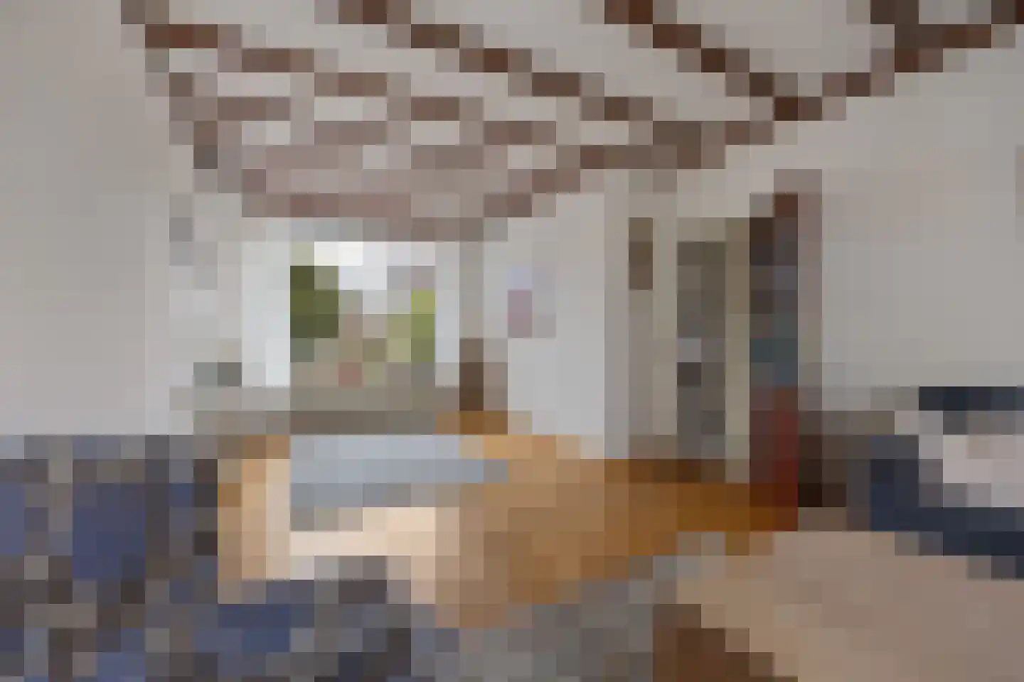 Veldstraat 20 Nijmegen thumbnail 8