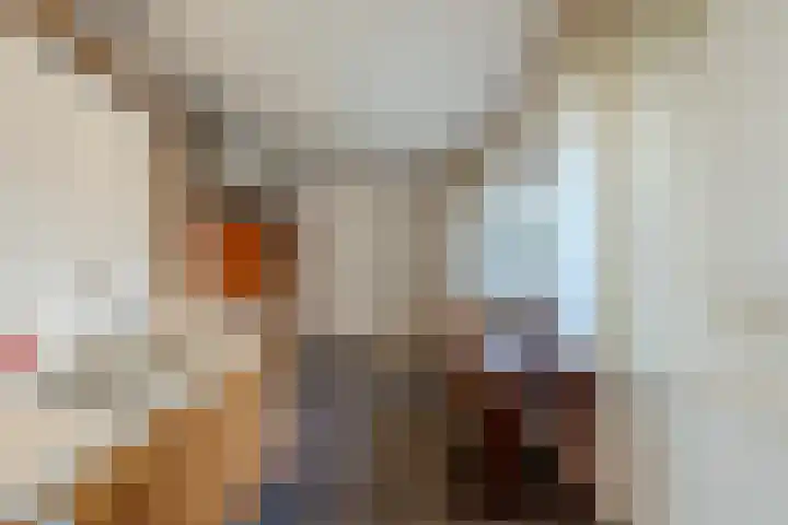 Veldstraat 21 Ohé en Laak thumbnail 21