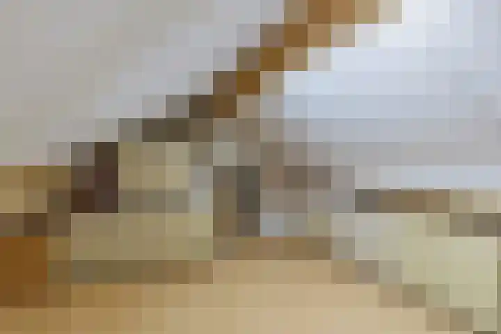 Veldstraat 21 Ohé en Laak thumbnail 30