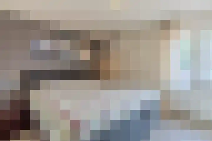 Veldstraat 21 Ohé en Laak thumbnail 36