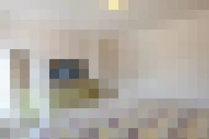 Veldstraat 21 Ohé en Laak thumbnail 37