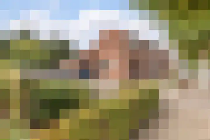 Veldstraat 21 Ohé en Laak thumbnail 4