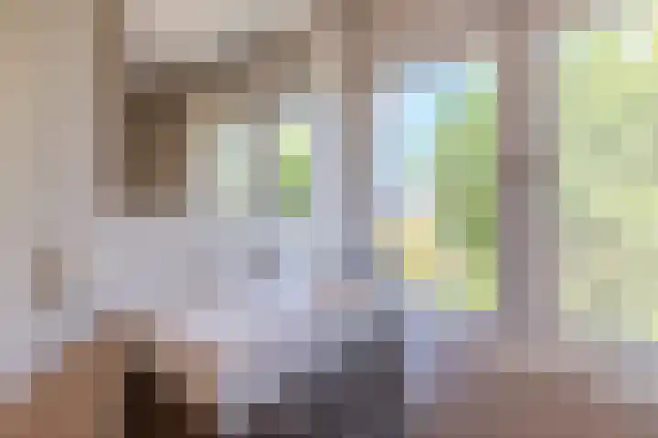 Veldstraat 21 Ohé en Laak thumbnail 43
