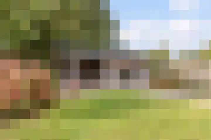 Veldstraat 21 Ohé en Laak thumbnail 56