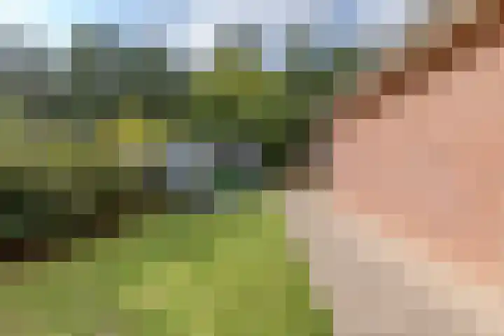 Veldstraat 21 Ohé en Laak thumbnail 57