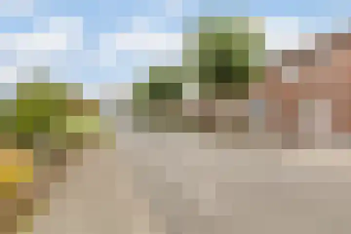 Veldstraat 21 Ohé en Laak thumbnail 6