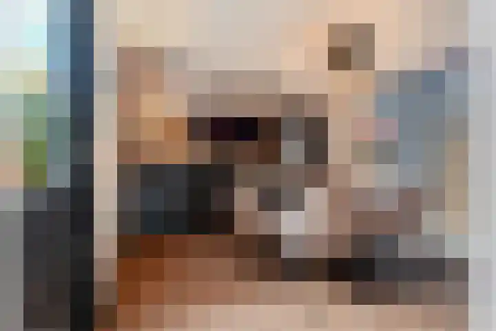 Veldstraat 23 Didam thumbnail 14