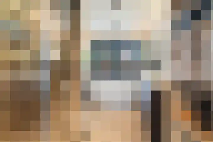 Veldstraat 23 Didam thumbnail 29