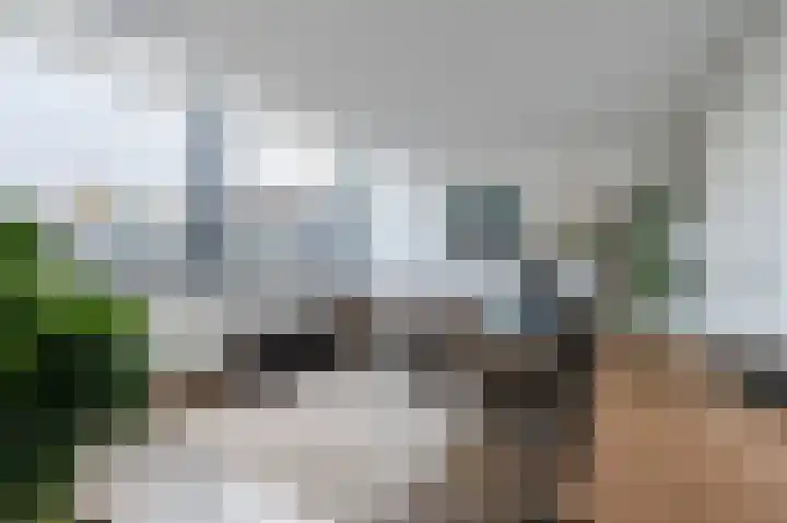 Veldstraat 23 Didam thumbnail 30