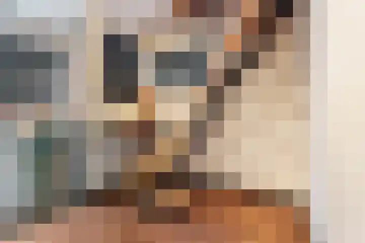 Veldstraat 23 Didam thumbnail 38