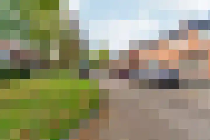 Veldstraat 23 Didam thumbnail 49