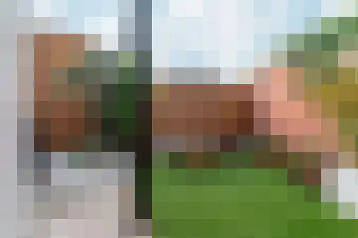 Veldstraat 23 Didam thumbnail 57