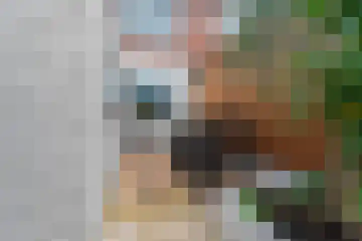 Veldstraat 23 Didam thumbnail 60