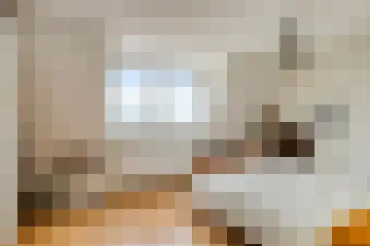 Veldstraat 23 Sluiskil thumbnail 13