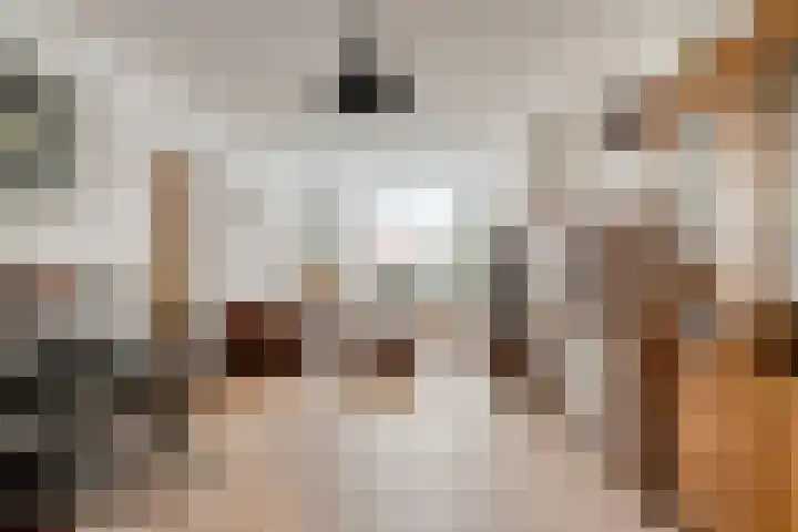 Veldstraat 23 Sluiskil thumbnail 5