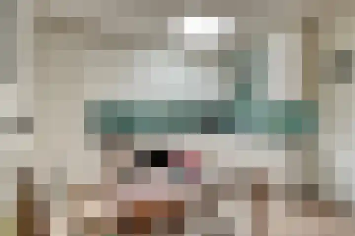 Veldstraat 23 Sluiskil thumbnail 8