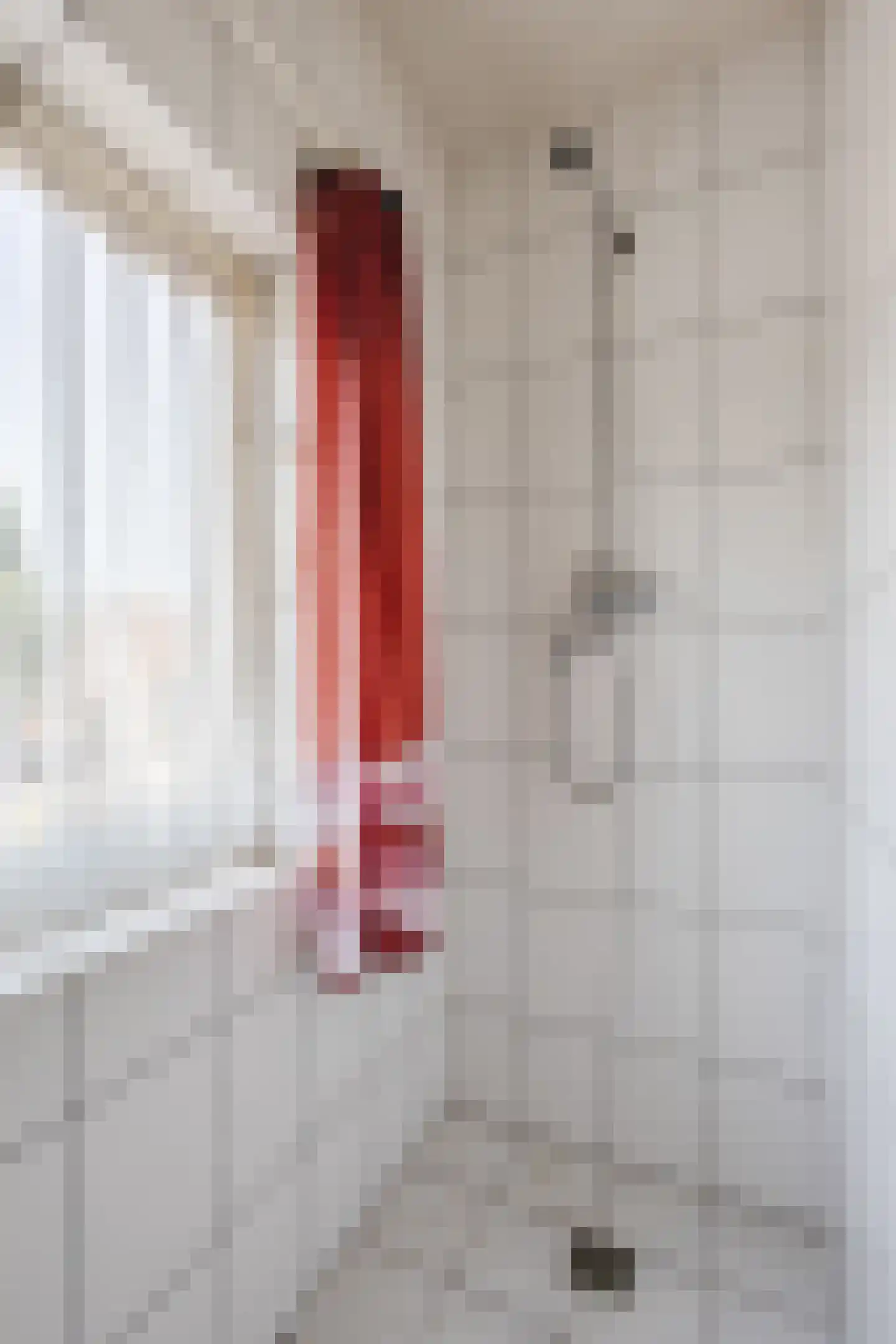 Veldstraat 24 Heeswijk-Dinther thumbnail 23