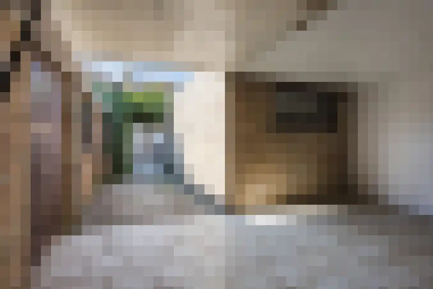 Veldstraat 24 Heeswijk-Dinther thumbnail 29