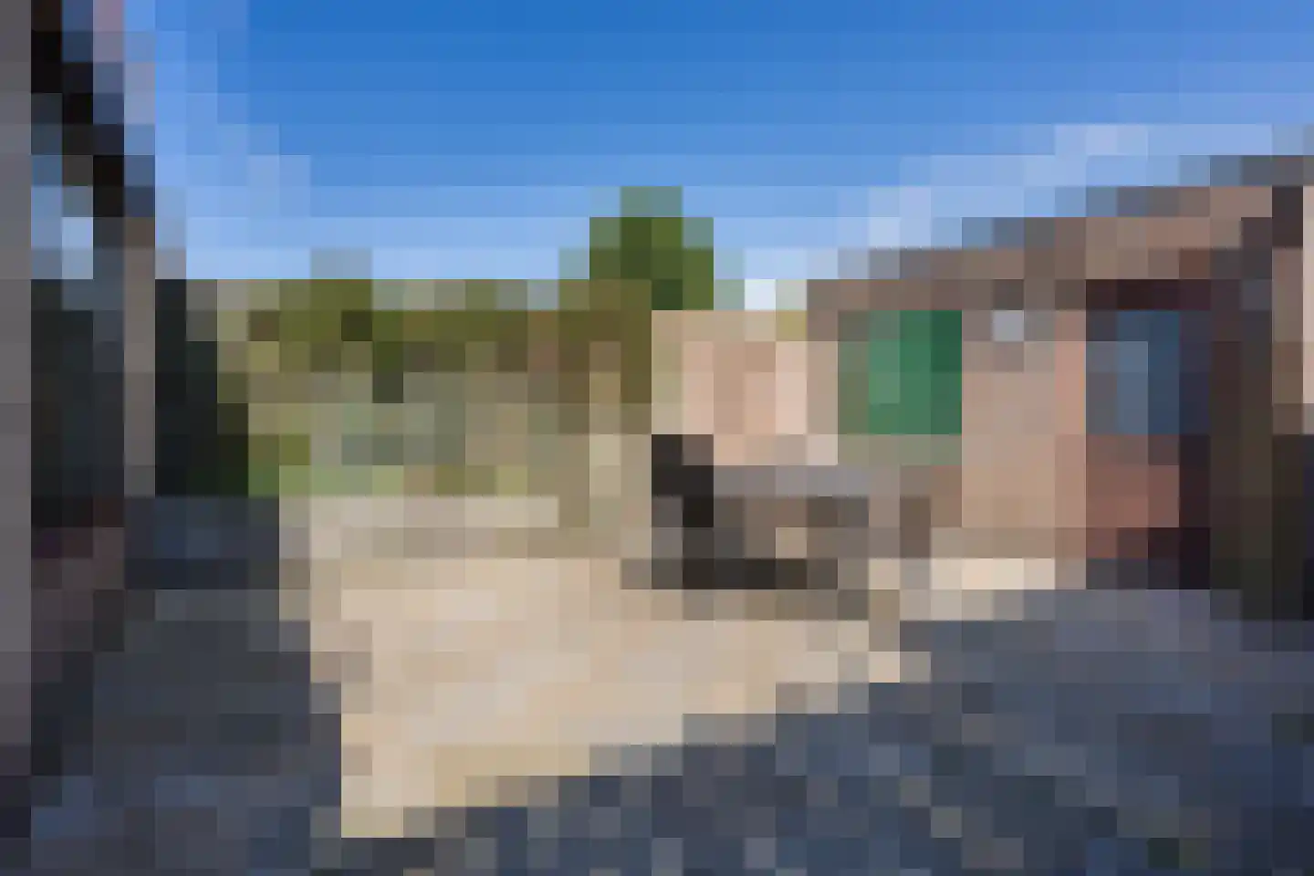 Veldstraat 24 Heeswijk-Dinther thumbnail 30