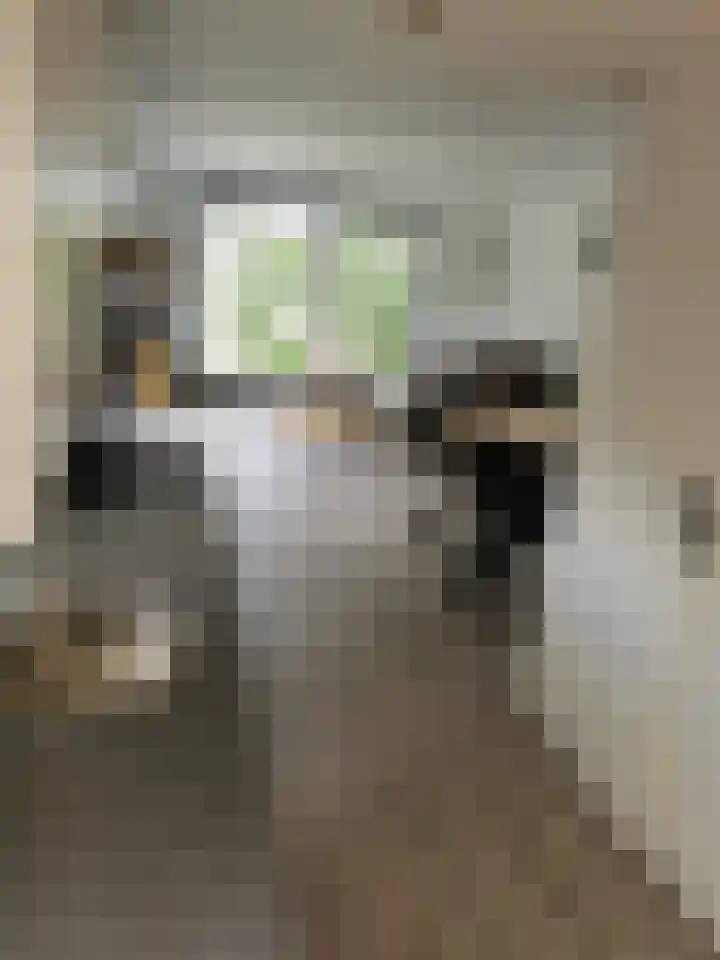 Veldstraat 24 Wijk en Aalburg thumbnail 8
