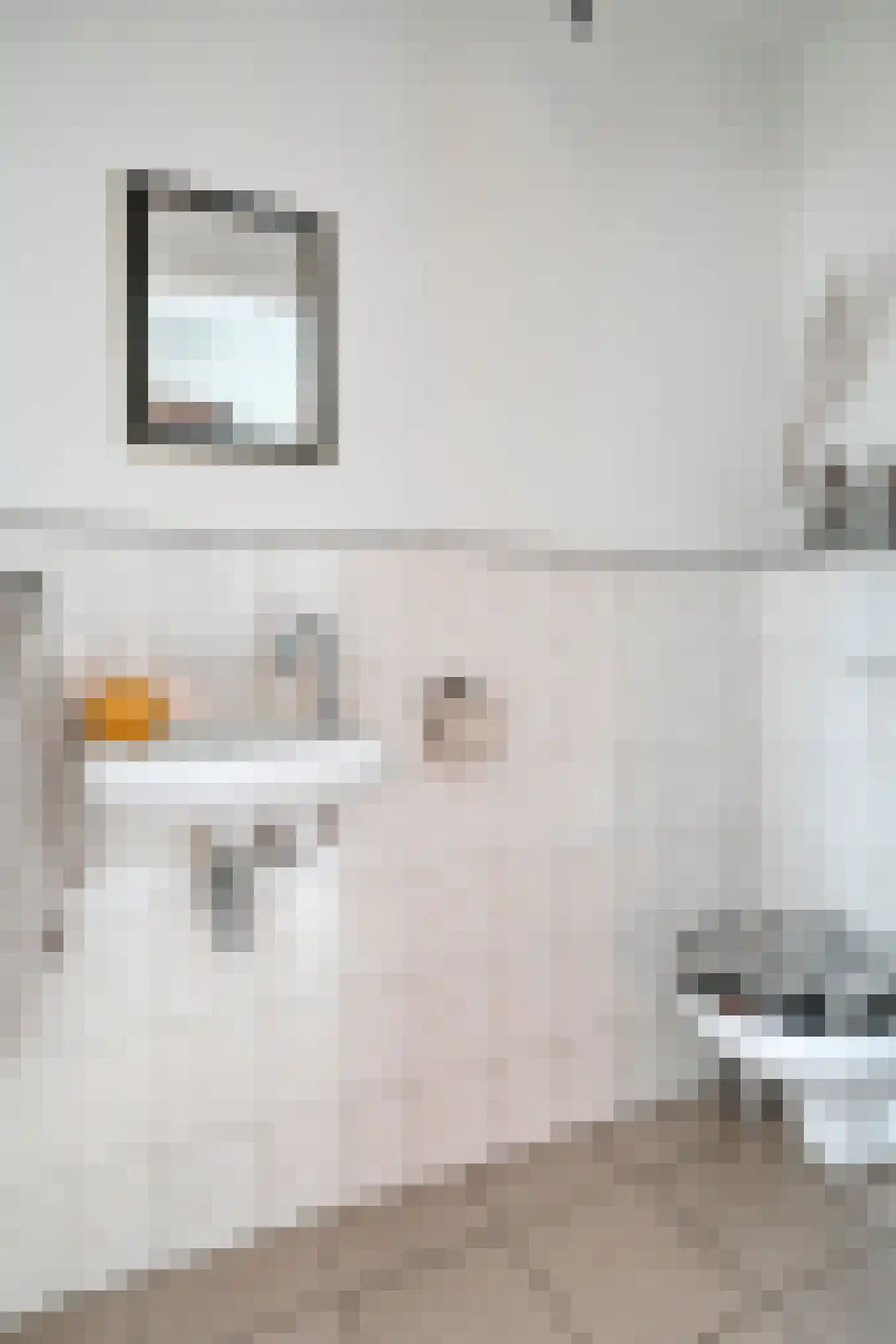 Veldstraat 25 Heeswijk-Dinther thumbnail 22