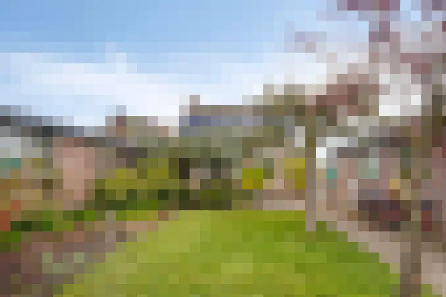Veldstraat 25 Heeswijk-Dinther thumbnail 4