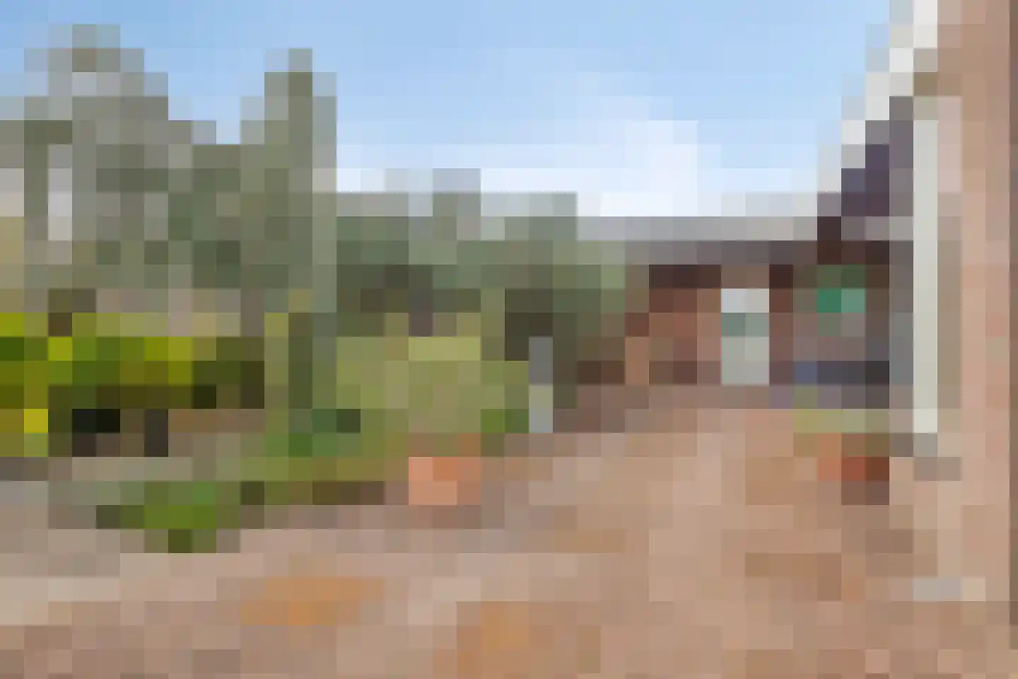 Veldstraat 25 Heeswijk-Dinther thumbnail 53