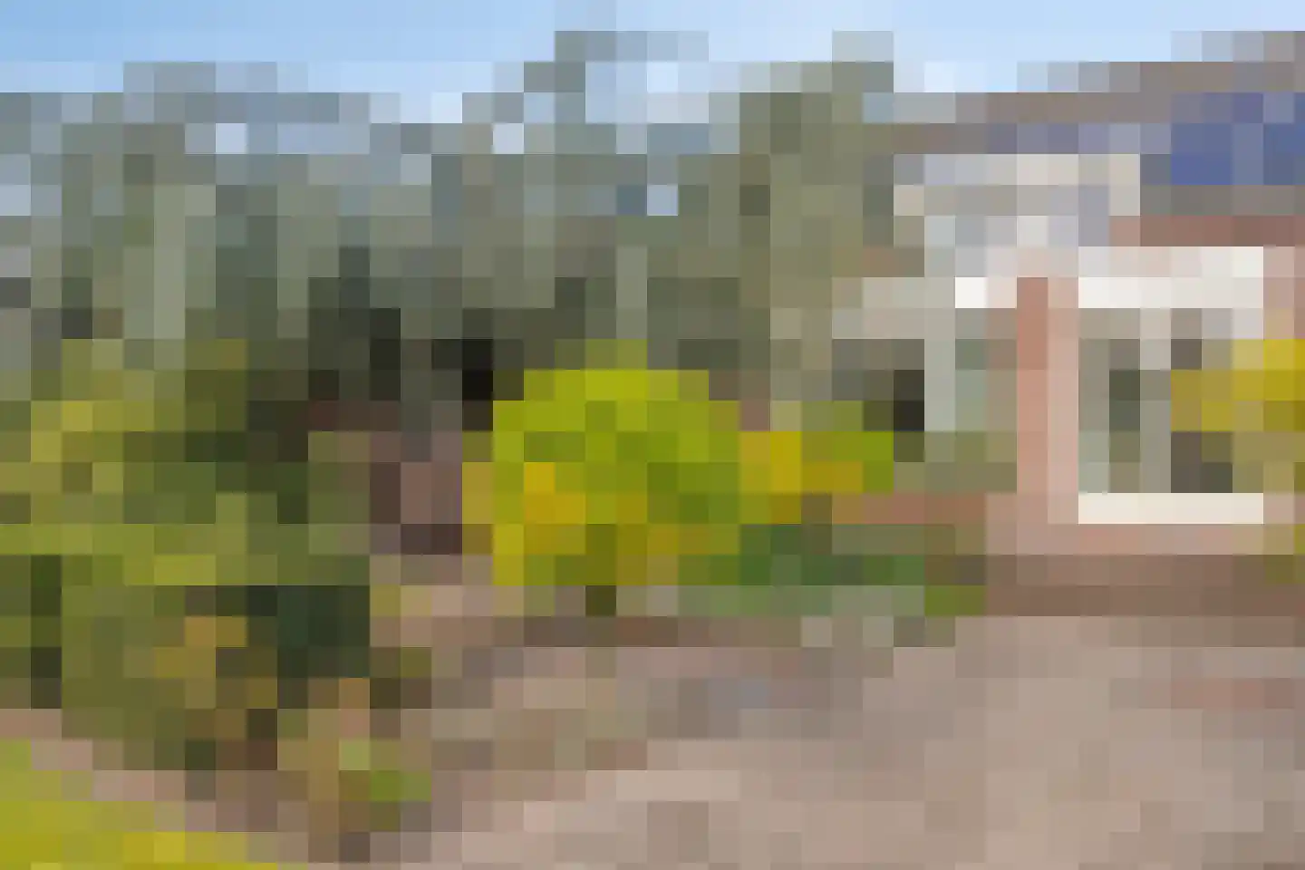 Veldstraat 25 Heeswijk-Dinther thumbnail 54