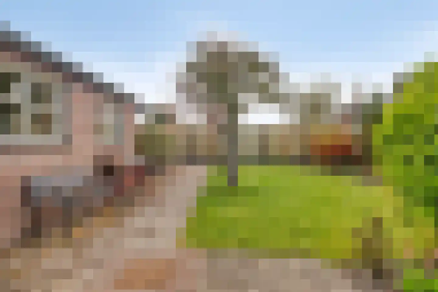Veldstraat 25 Heeswijk-Dinther thumbnail 59