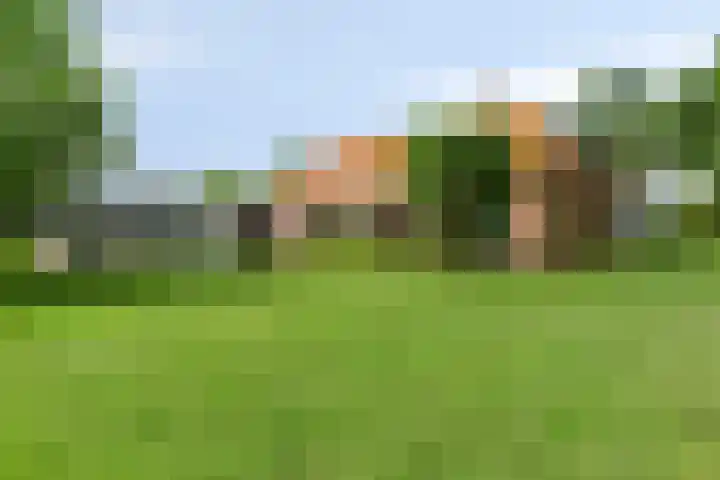 Veldstraat 27 Wijk en Aalburg thumbnail 4