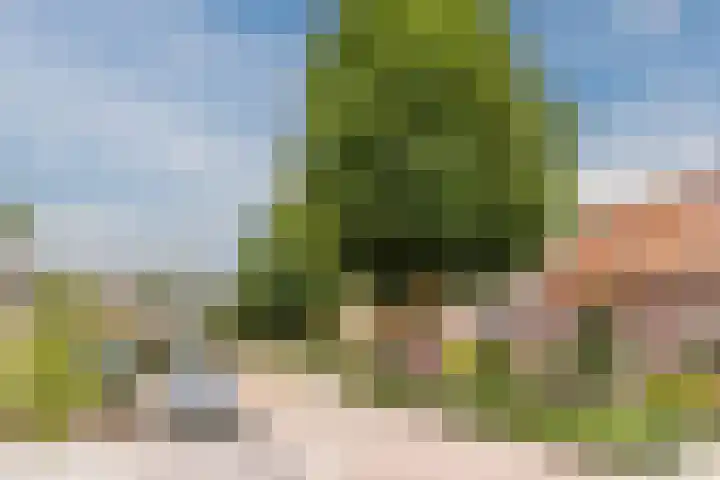 Veldstraat 28 Heeswijk-Dinther thumbnail 64