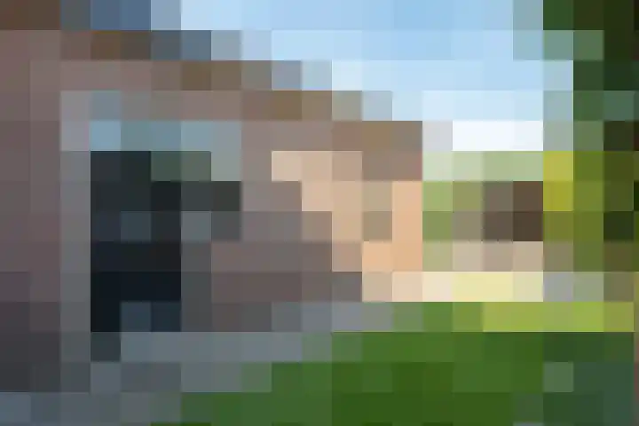 Veldstraat 28 Putten thumbnail 12