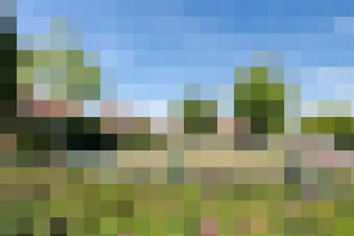 Veldstraat 28 Putten thumbnail 37